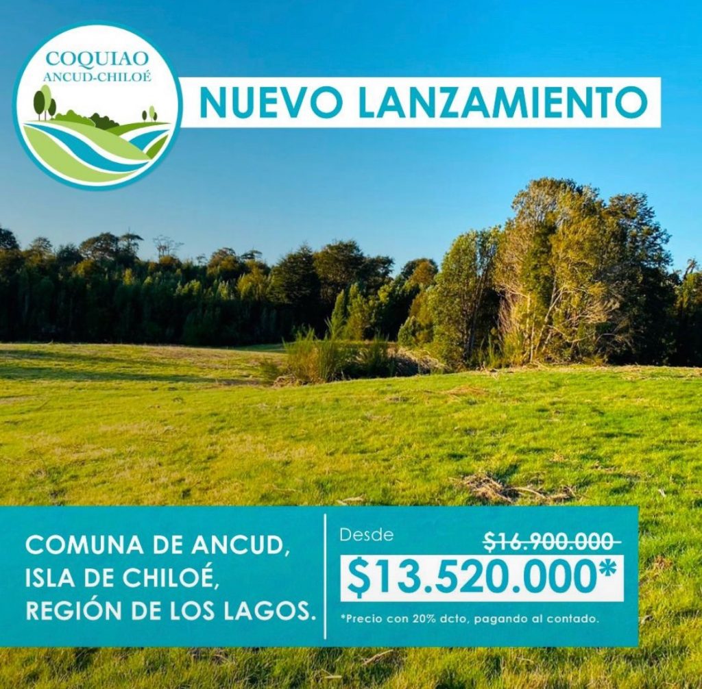 Proyecto Coquiao