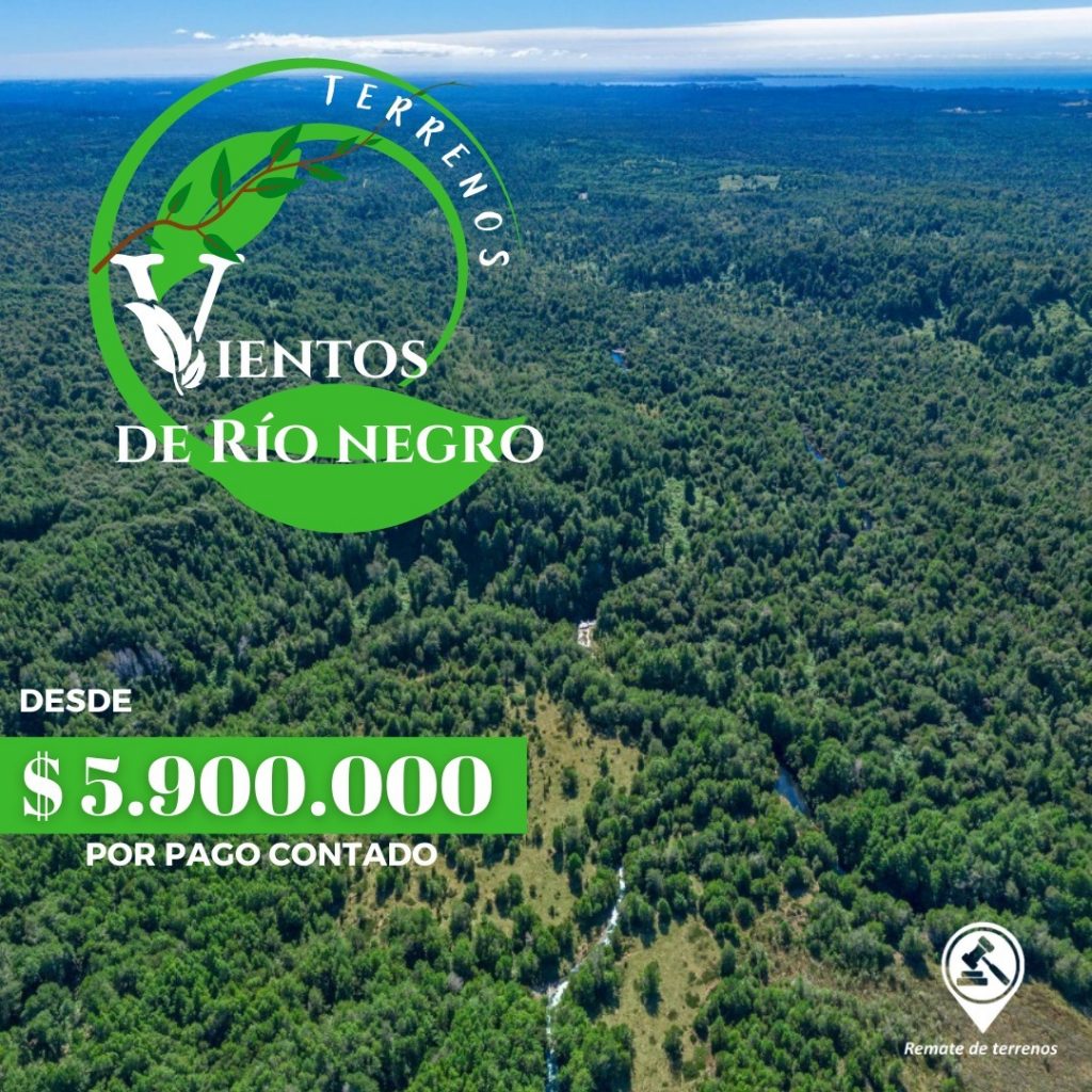 Vientos de Río negro Quemchi